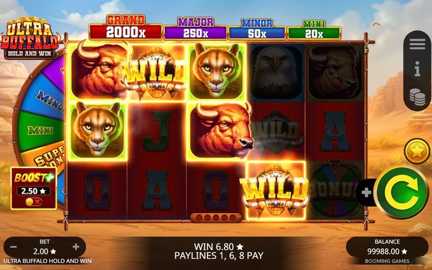 Ultra Buffalo Hold and Win screenshot