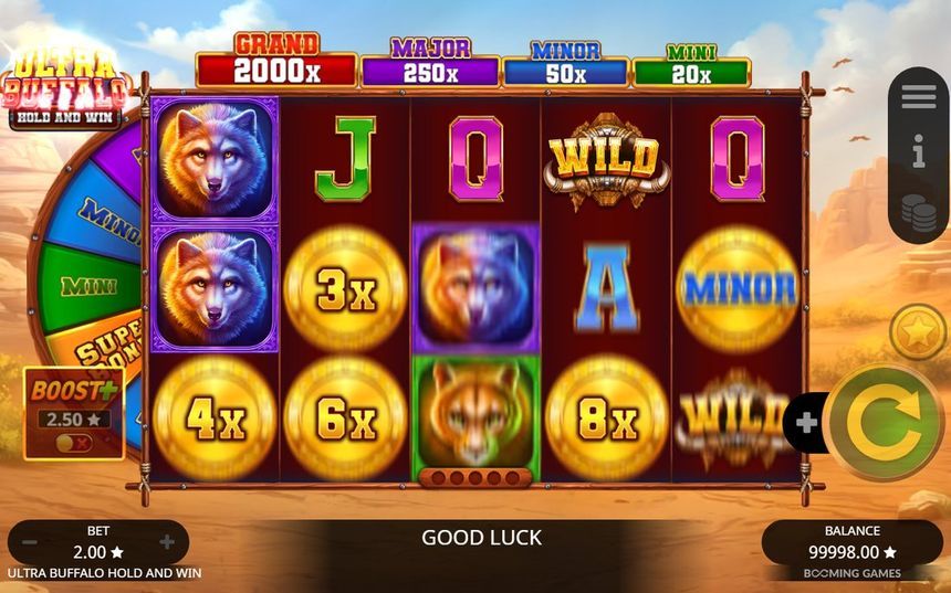 Ultra Buffalo Hold and Win screenshot