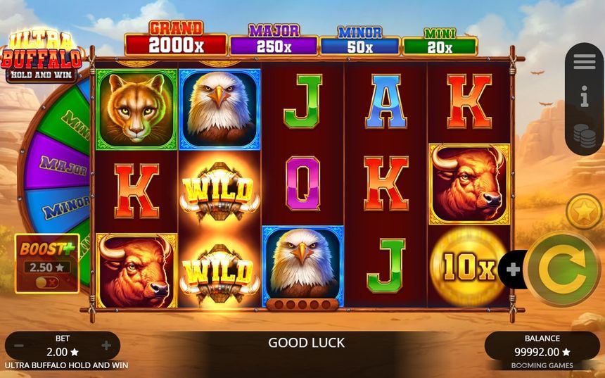 Ultra Buffalo Hold and Win screenshot