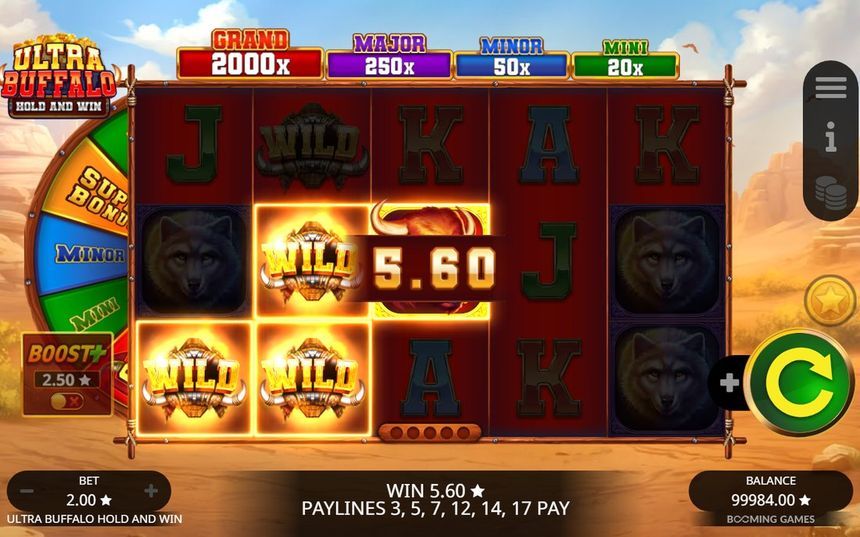 Ultra Buffalo Hold and Win screenshot