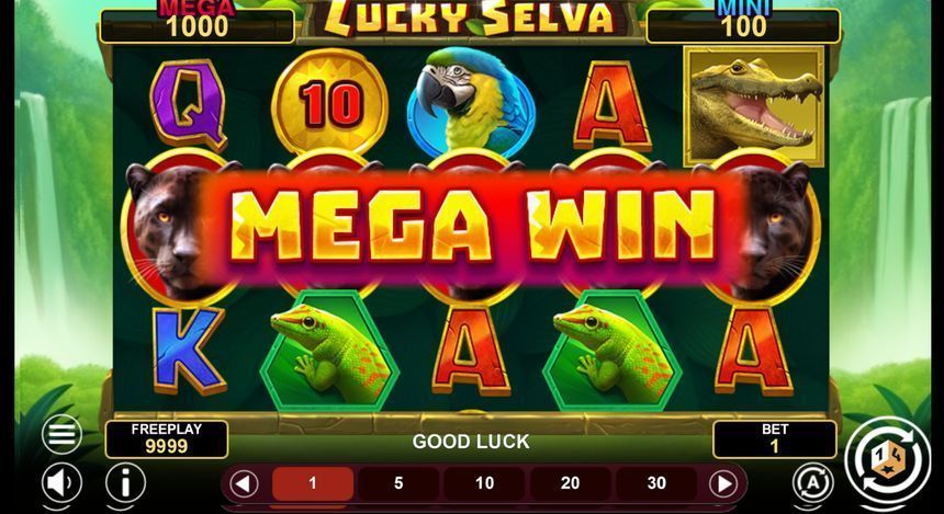 Lucky Selva Hold & Win screenshot