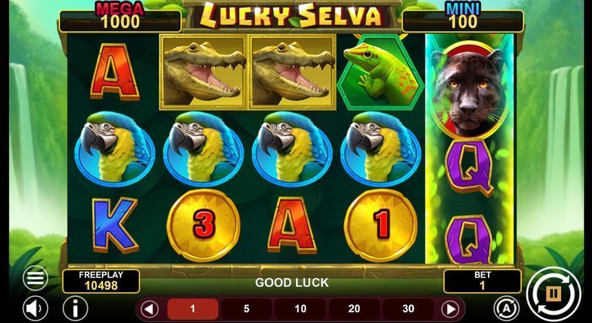 Lucky Selva Hold & Win screenshot